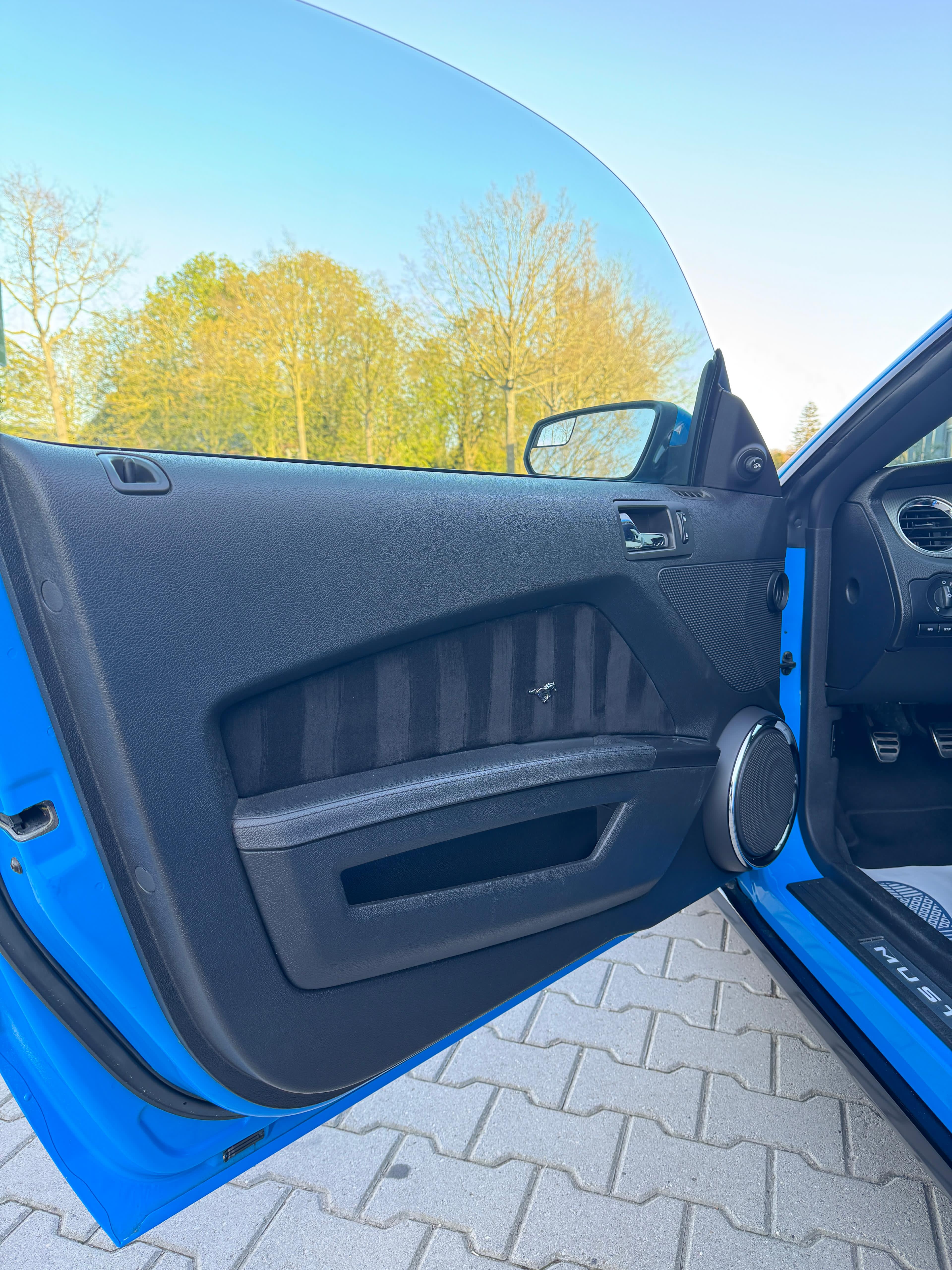 Ford Mustang GT Interior Door Panel